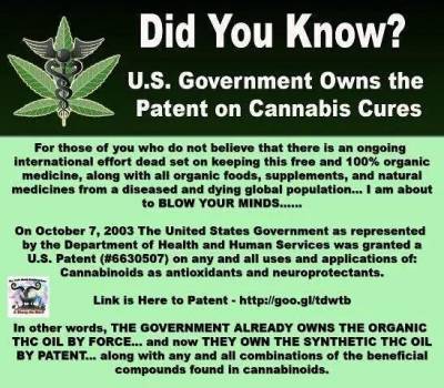 b2ap3_thumbnail_cannabis_patent_by_USgovt.jpg