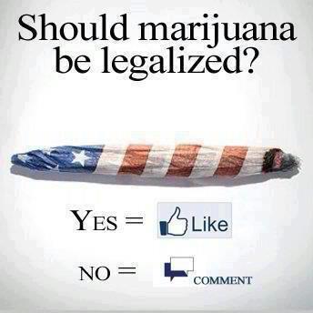 Vote on Marijuana