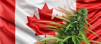 Canada Marijuana legalization Bill C-45 Officially Passes Senate Vote