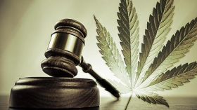 US Govt Owns The Patent On Some Cannabis Cures