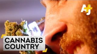 Cannabis Country – The Biggest Weed Grower In Uruguay