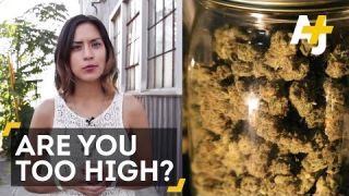 Legal Marijuana: How High Is Too High?