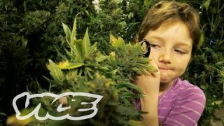 Stoned Kids - How Medical Marijuana helps Kids with Cancer
